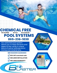 Chemical Free Swimming Pool Ozone System