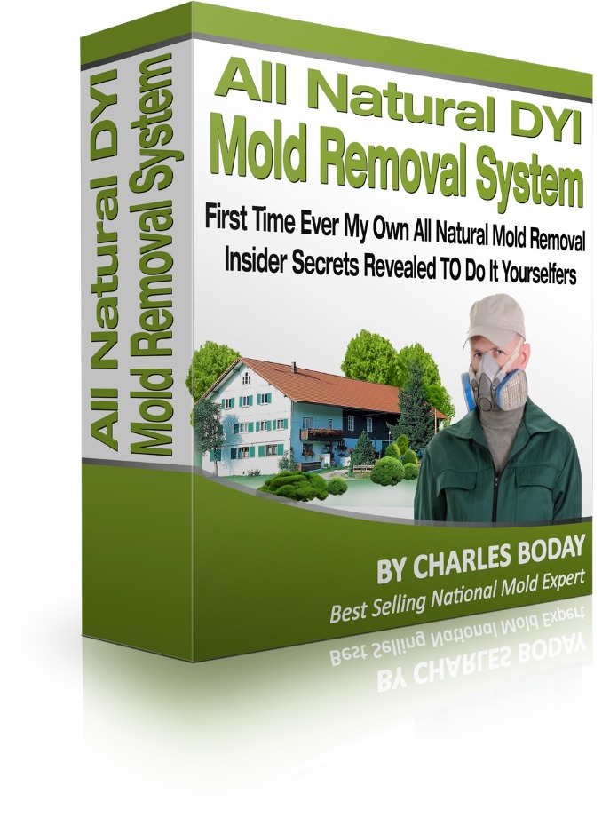 All Natural Mold Removal Kit (Basic)